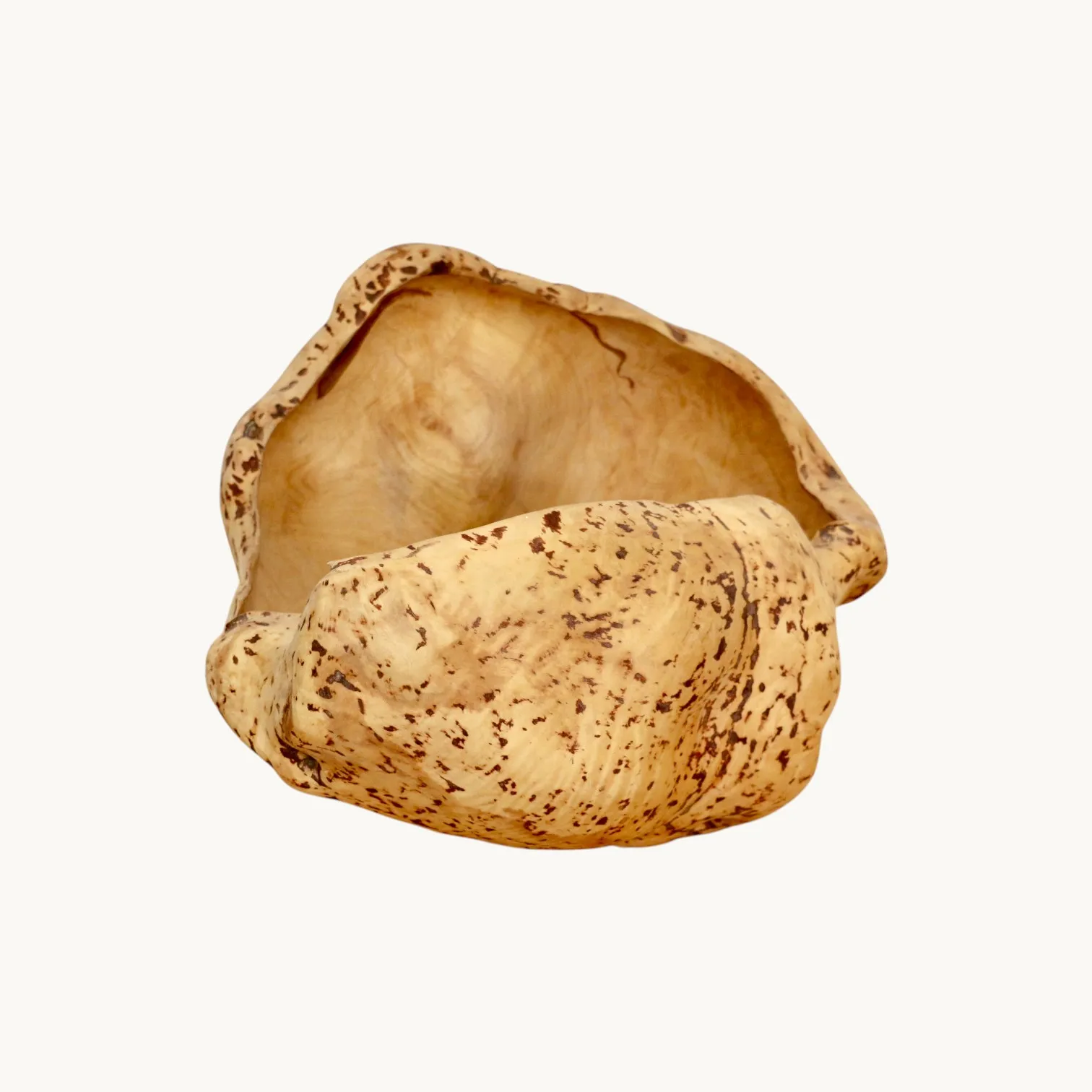 Une loupe d'Orme, Suède années 70. image 4